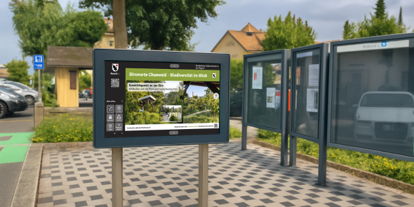 Bank-entfernen-und-Inhalt_mod